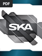 Perfil Empresa SKA.pdf