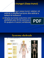 L4 - Ossa Trunci