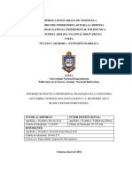 Informe de Pasantias.pdf