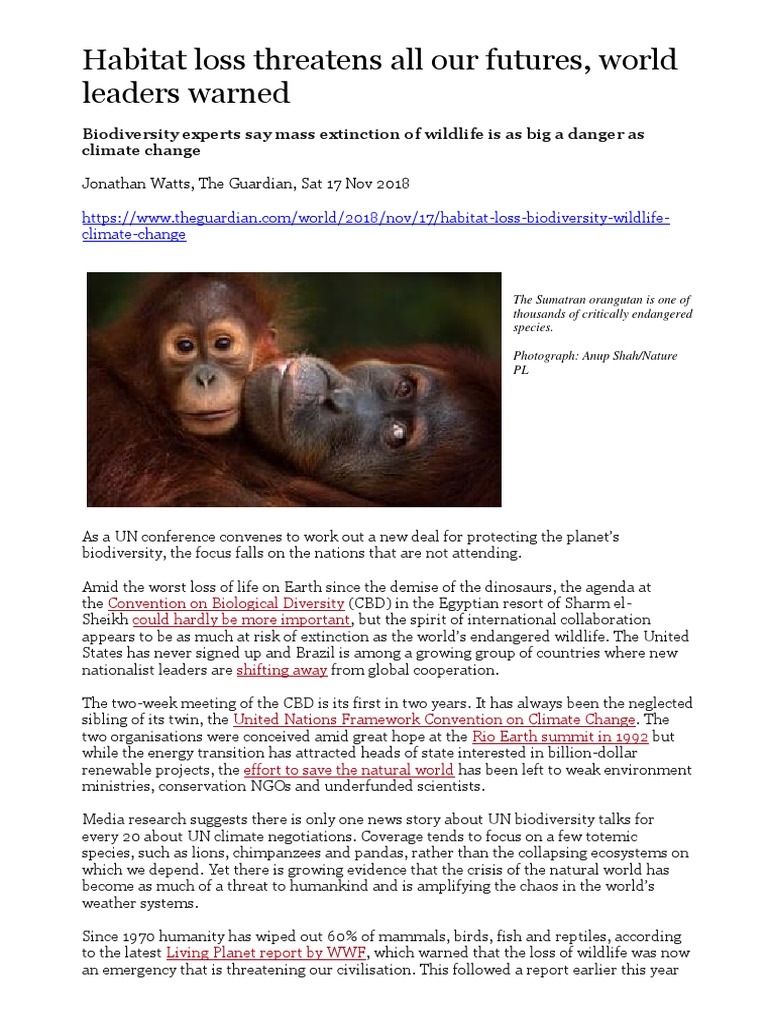 Habitat Loss and Biodiversity Crisis | PDF | Biodiversity ...