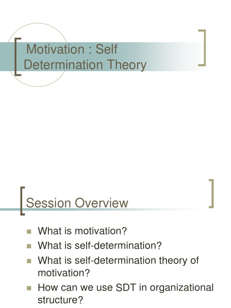Self Determination Theory | Download Free PDF | Motivation | Motivational