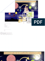 prezi.pdf