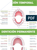 denticion.pdf