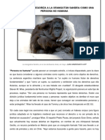 Por Que Se Categoriza A La Orangután Sandra Como Una Persona No Humana