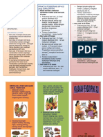 Leaflet MPASI