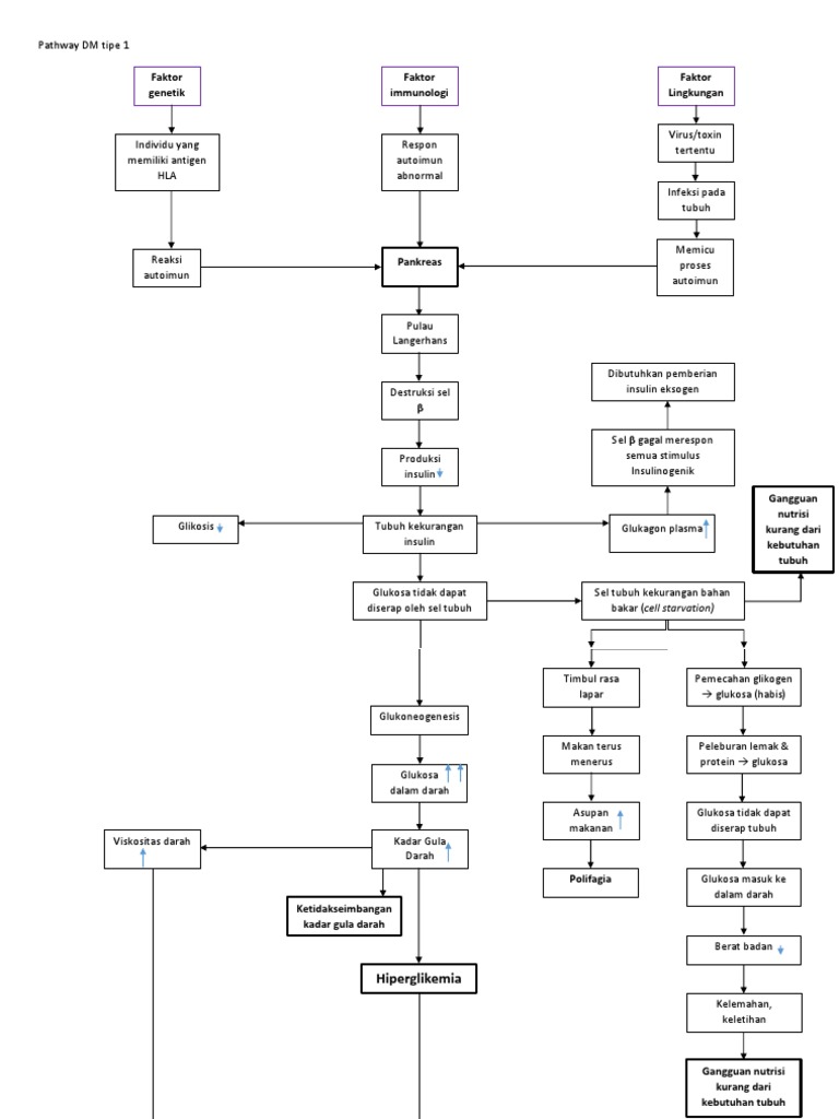 Pathway DM Tipe 1-