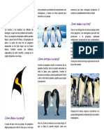 Pingüino Emperador