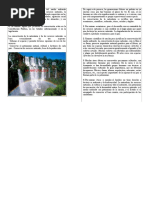 Diptico Conservacion de La Naturaleza