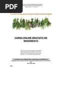 DocGo.net 363382497 Curso Online Gratuito de Benzimento.pdf (1)