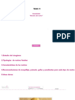 11 Visagismo PDF