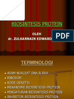 2.sintesis Protein