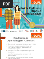 cultura etnias e diversidade