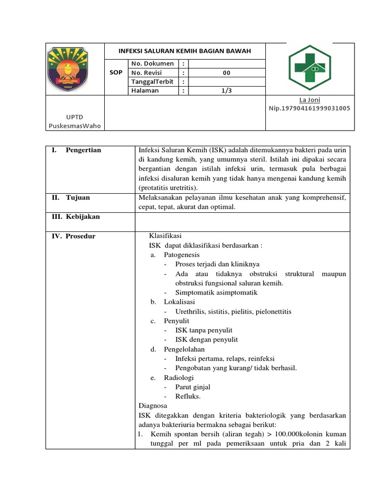 Diagnosa dan Terapi ISK Bagian Bawah | PDF