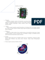 Organel Yang Ada Pada Sel Tumbuhan Dan Hewan