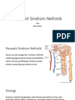 Penyakit Sindrom Nefrotik