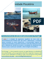 Recursos Maritimos