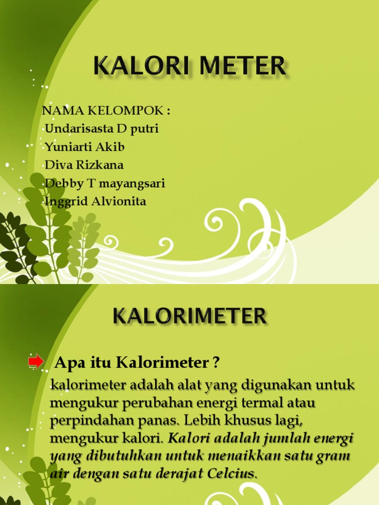Kalori Meter | PDF