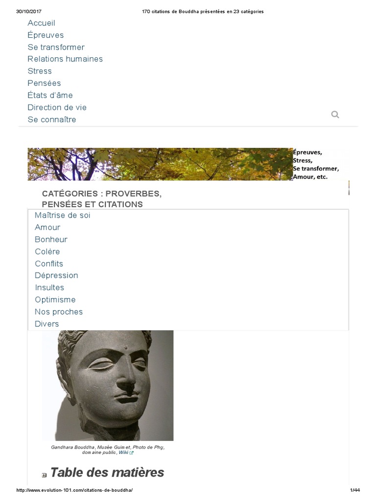 170 Citations De Bouddha Presentees En 23 Categories Bonheur Et