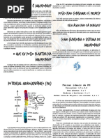 Thaunon Aquaponia eBook