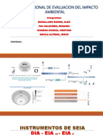 EIA-sd del proyecto