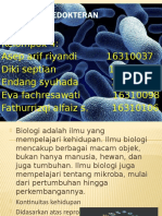 Biologi Kedokteran Kelompk 4