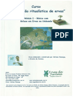 kupdf.net_apostila-ervas-adriano-camargo.pdf