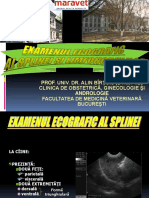 Eco Splina PDF