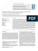 An Improved Method For Patch Clamp Recording and Calcium Imaging