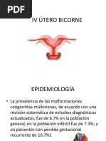 IV Útero Bicorne