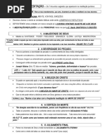 meditação puritana resumo.doc
