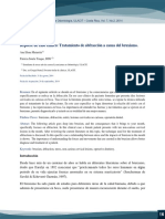 110_article2idental7.2.pdf