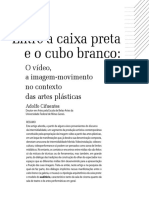 Entre A Caixa Preta e o Cubo Branco PDF