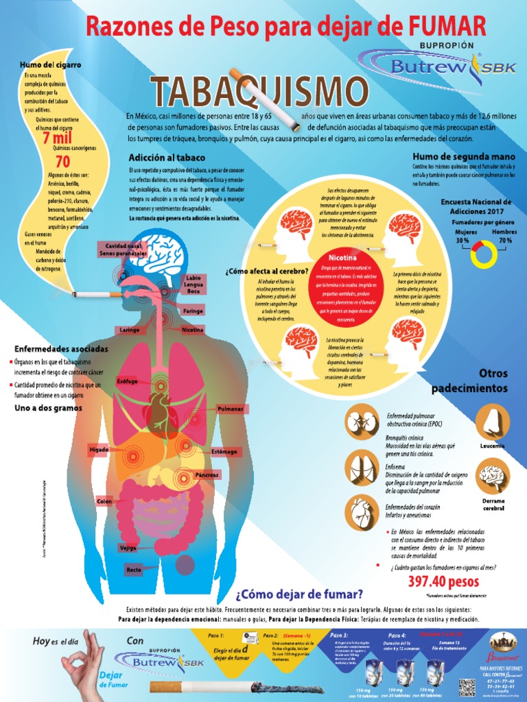 Infografia Tabaquismo PDF