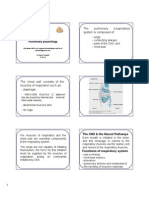 Pulmonary Physiology: The Anatomy and Functions of the Respiratory System