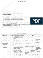 Proiect Didactic Pronume Clasa 3