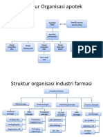 Struktur Organisasi (Apt)