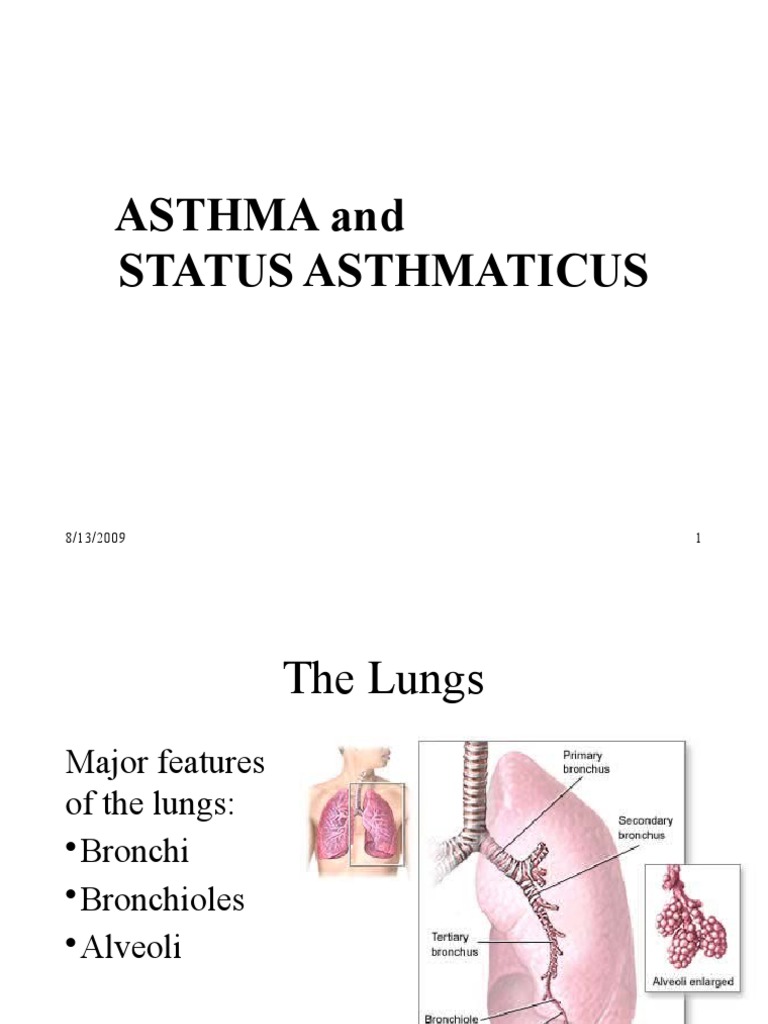 4 Asthma Dan Status Asthmaticus PDF Asthma Respiratory Tract