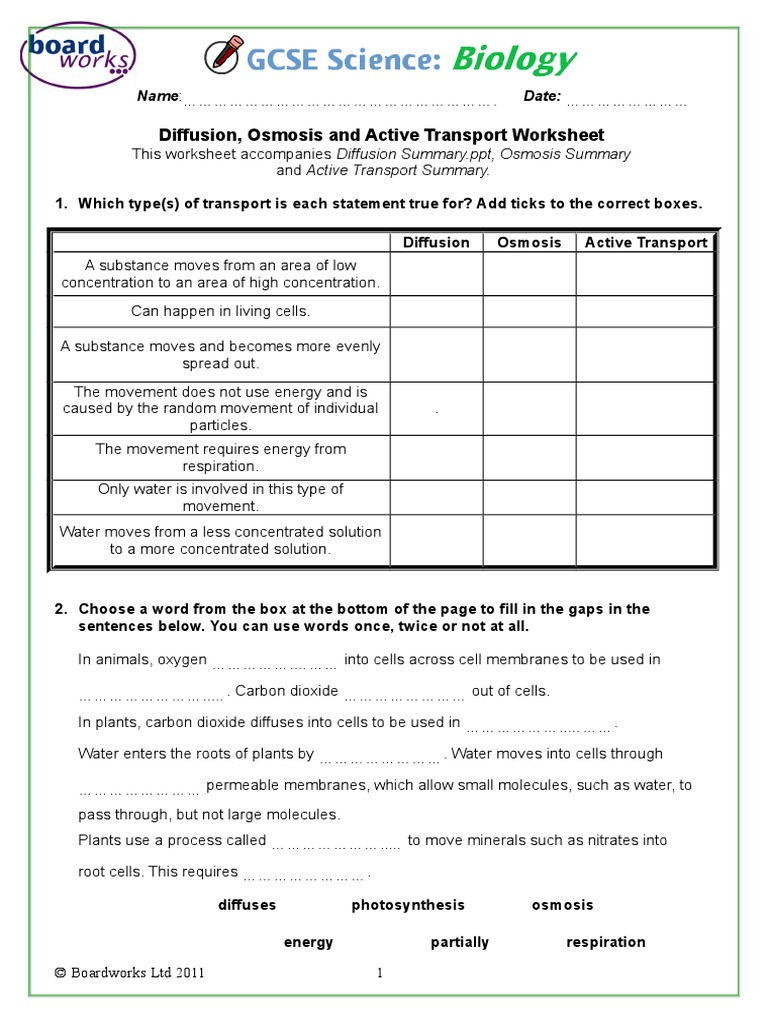 Diffusion osmosis and active transport worksheet answers