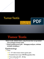 Tumor Testis