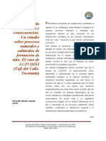Patané Aráoz (2007) - Evaluando causas y consecuencias (Catamarca).pdf