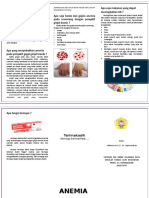 Leaflet Anemia Pada GGK