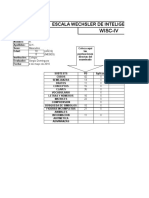 Programa Wisc IV