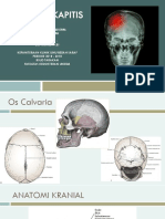 Anatomi Dan Trauma Kapitis