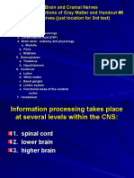 The Brain and Cranial Nerves Handout #7 Functions of Gray Matter and Handout #8 Cranial Nerves (Just Location For 3rd Test)