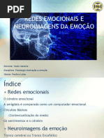 redes-emocionais.pptx