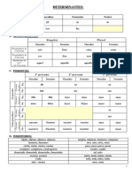 determinantes-y-pronombres.pdf