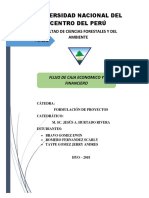 Flujo de Caja Informe