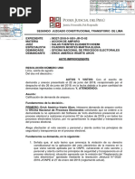  Auto de Improcedencia Amparo Voto Electronico