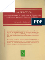 Guía-Práctica.pdf