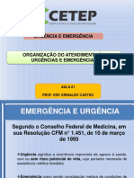 AULA 1 - URGÊNCIA ERINALDO.pdf